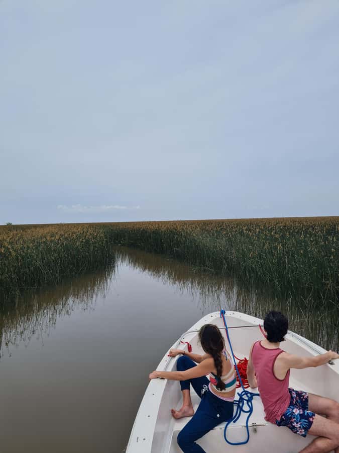 Tigre: Safari Náutico en Tigre/ Biosphere Reserve Boat Tour - Five things worth knowing before you go