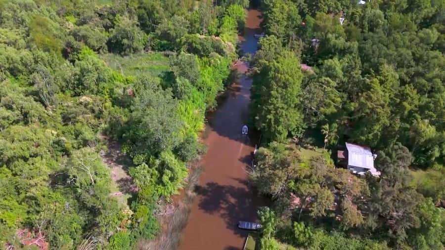 Tigre: Safari Náutico en Tigre/ Biosphere Reserve Boat Tour - Why the Tigre Delta is worth your time