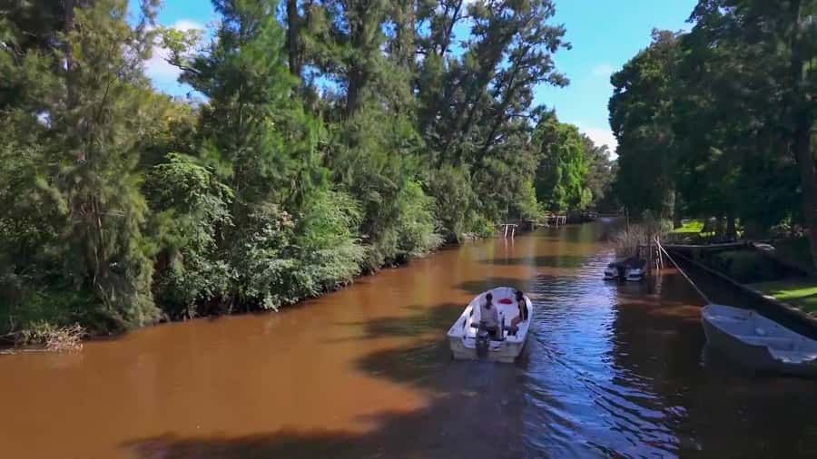 Tigre: Safari Náutico en Tigre/ Biosphere Reserve Boat Tour - Reading the wetlands at the Delta observatory