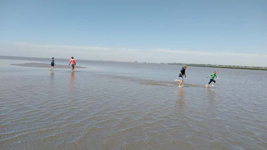 Tigre: Safari Náutico en Tigre/ Biosphere Reserve Boat Tour - Puerto de Frutos brings you back to town