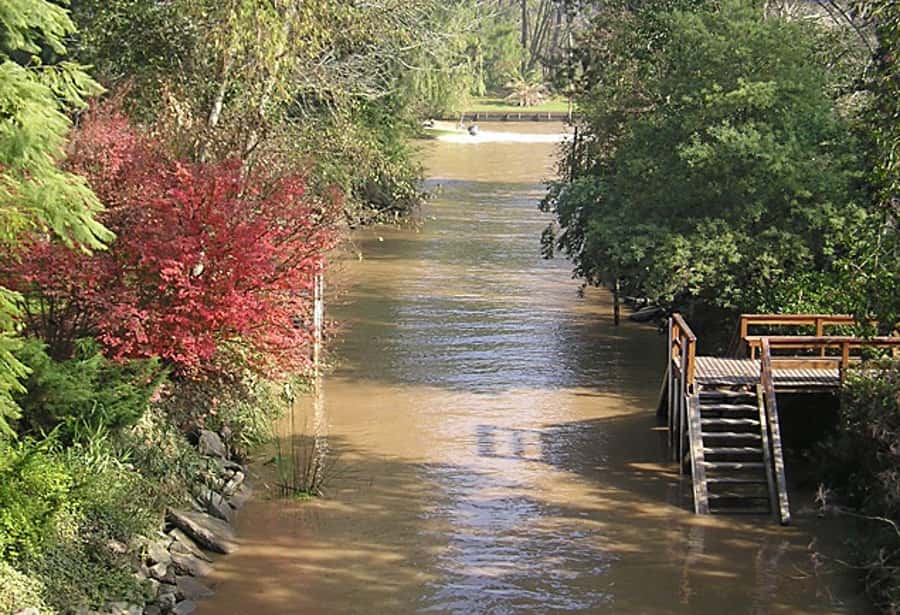 Tigre with Lunch overlooking the River and Navigation - Who will enjoy this Tigre day most?