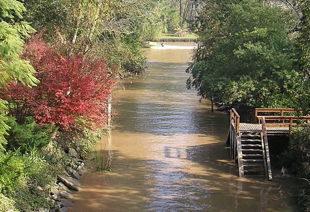 Tigre with Lunch overlooking the River and Navigation - What the $200 price really buys you