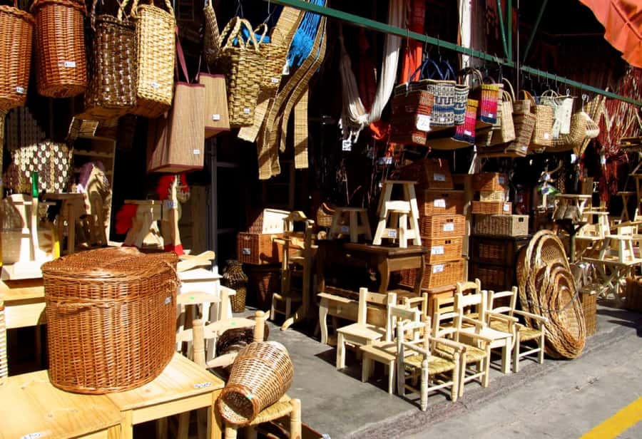 Tigre with Lunch overlooking the River and Navigation - Timing, group size, and practical cautions