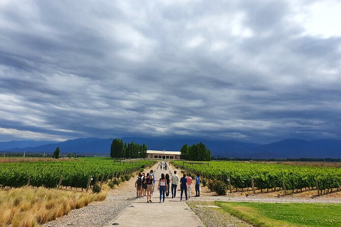 Top Rated: Winery Tour with Lunch in Mendoza - Why Maipú makes a good first wine day