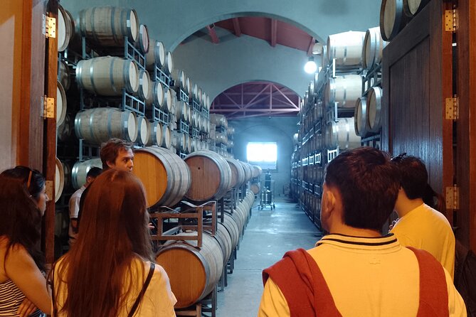 Top Rated: Winery Tour with Lunch in Mendoza - Is $129 a sensible Mendoza wine budget?