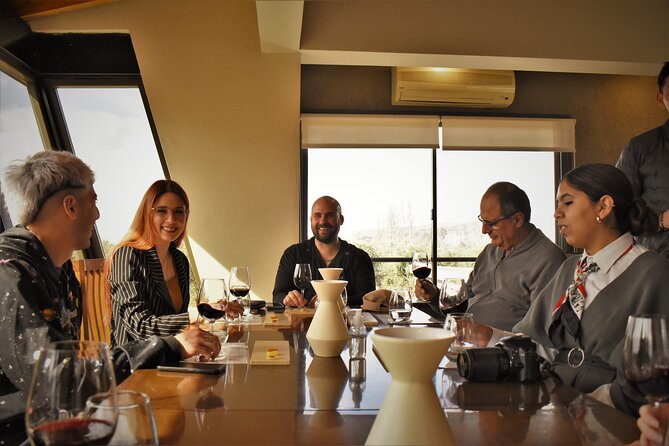 Top Rated: Winery Tour with Lunch in Mendoza - The first winery: from grape to bottle