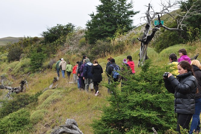 Torres Del Paine Full Day Overland Truck 4x4 from El Calafate - Paying at Portería Laguna Amarga