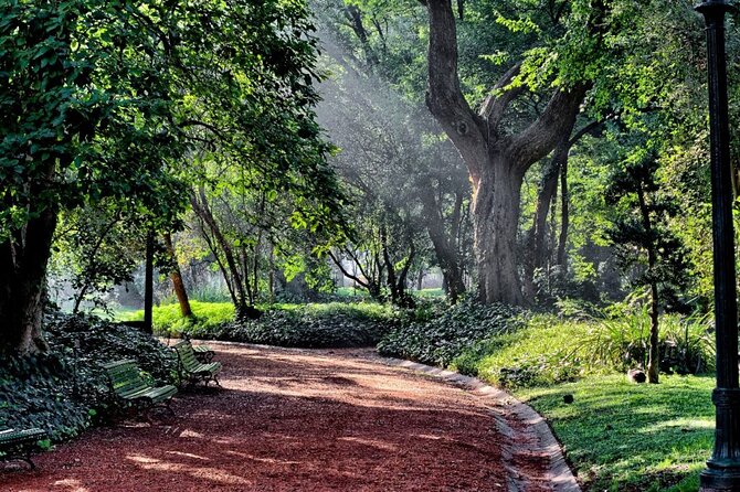 Tour a pie de Historia y Naturaleza por Palermo - Tree-lined streets and the Japanese Garden