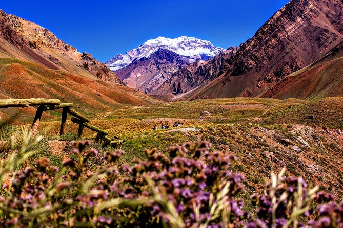 Tour Aconcagua Park in Small Group from Mendoza with Barbecue Lunch - Coffee in Uspallata and the road to Chile