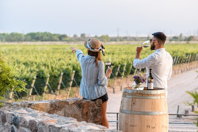 Tour and Tasting in 3 Wineries and 1 Olive Tree in Maipu - Key points to know before booking