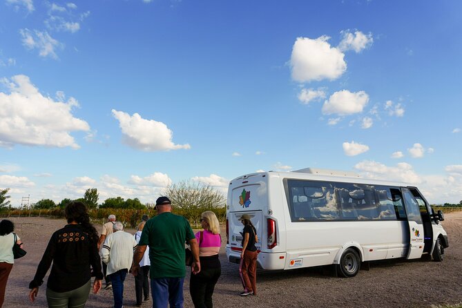 Tour and Tasting in 3 Wineries and 1 Olive Tree in Maipu - A welcome change at Olivícola Boutique Pasrai