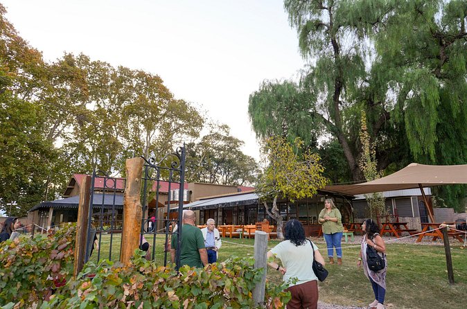 Tour and Tasting in 3 Wineries and 1 Olive Tree in Maipu - Transportation, timing, and group size