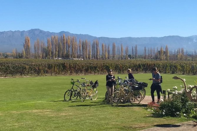 Tour autoguiado en bicicleta por Luján de Cuyo (Mendoza) - Stops 4 and 5: Vistalba and Kaiken