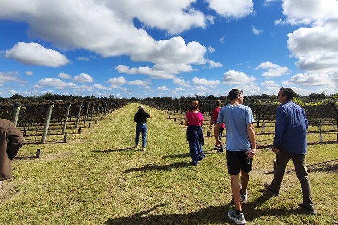 Tour for Jesuit Experience and Wines - What the guide and driver add