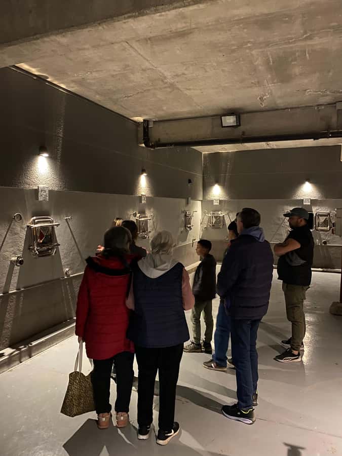 Tour of 3 wineries in Maipú with lunch + olive groves - First Winery: A Traditional Introduction To Mendoza Wine