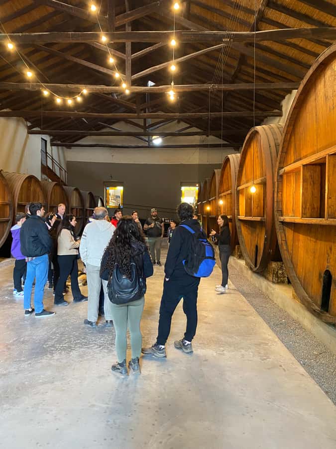 Tour of 3 wineries in Maipú with lunch + olive groves - The Third Winery And The Best Meal Of The Day