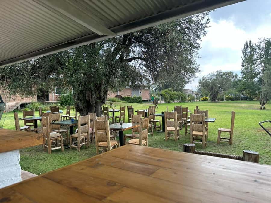 Tour of 3 wineries in Maipú with lunch + olive groves - English, Spanish, And The Style Of Guiding