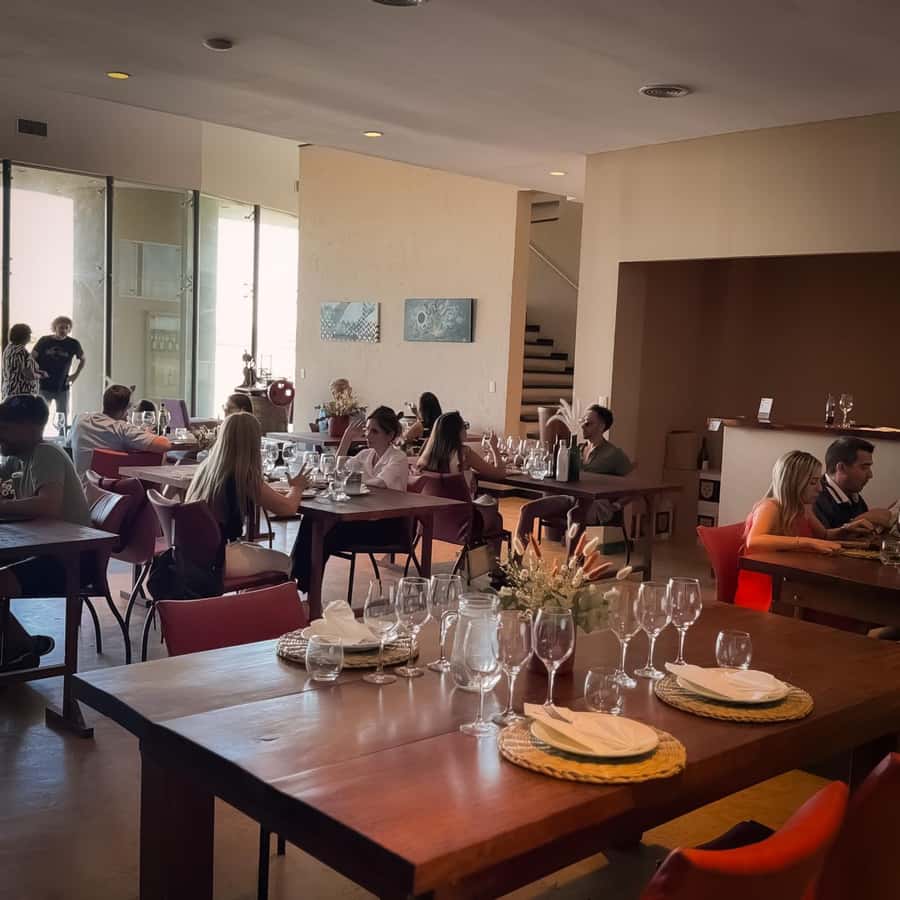 Tour of 3 wineries in Maipú with lunch + olive groves - Practical Comfort And Access Notes