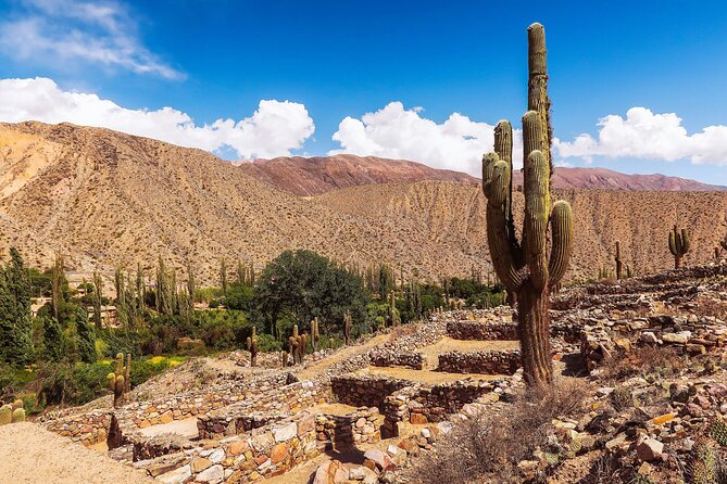 Tour to Cachi from Salta - Why This Route Works as a Day Trip
