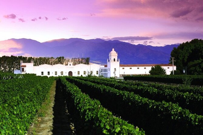 Tour to Cafayate from Salta - Key Points Before You Book