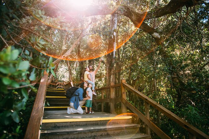 Tour with Navigation to the Arrayanes Forest and Victoria Island - A six-hour outing built around Lake Nahuel Huapi
