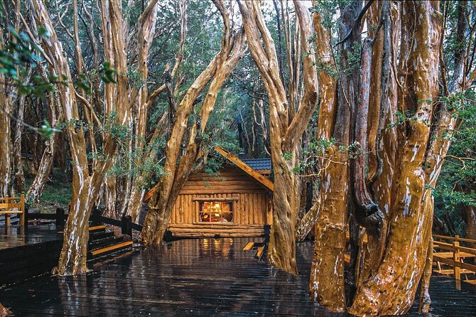 Tour with Navigation to the Arrayanes Forest and Victoria Island - The English-language issue needs plain warning