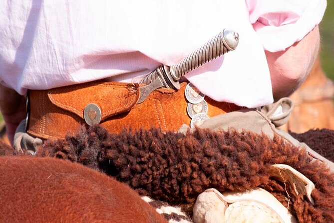 Traditional Gaucho Festival Full Day Tour from Buenos Aires - Afternoon Gaucho Riding Shows