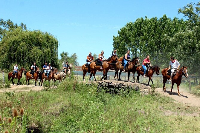 Traditional Gaucho Festival Full Day Tour from Buenos Aires - Timing, Weather, and Practical Planning