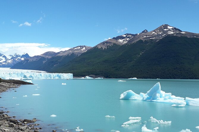Transfer Moreno Glacier Full Day (roundtrip 6 hours) - Service, communication, and group size