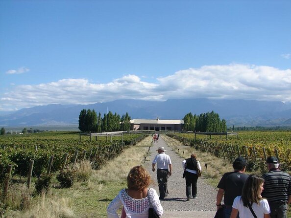Transfer to Salentein Uco Valley with Lunch and Visit - From Mendoza City to the Uco Valley at 11:30 am