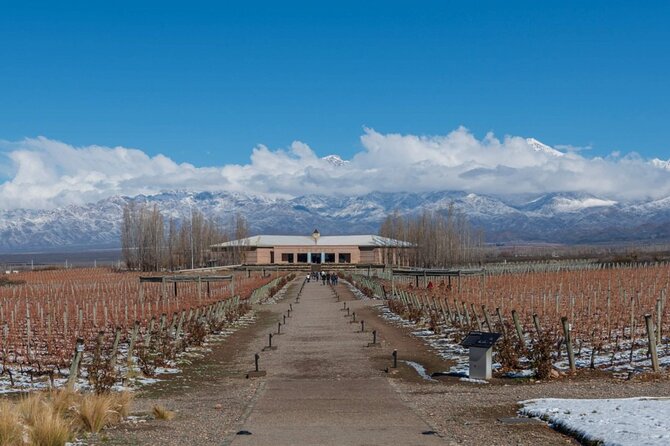 Transfer to Salentein Uco Valley with Lunch and Visit - What the small group changes