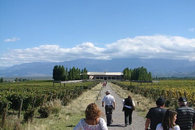 Transfer to Salentein Uco Valley with Lunch and Visit - Is $340 per person fair?