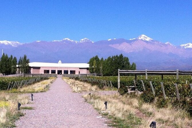 Transfer to Salentein Uco Valley with Lunch and Visit - Salentein’s cathedral-like winery near Tupungato