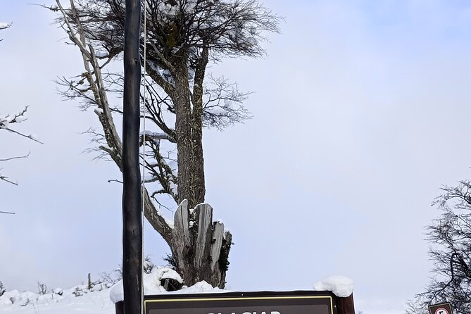 Transfers from the Airport to El Calafate with City Tour - Who Will Like This Experience Most?