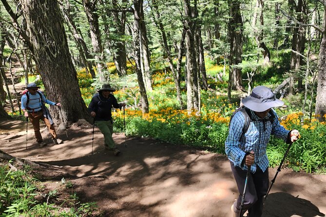 Trekking Day in Bariloche - Low/Medium/High difficulty - Lago Nahuel Huapi and the payoff at higher ground