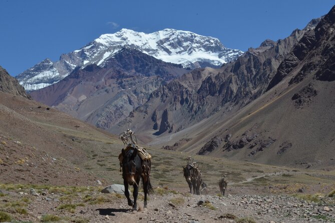 Trekking to Confluencia, Aconcagua first base camp - What the Confluencia trek actually offers
