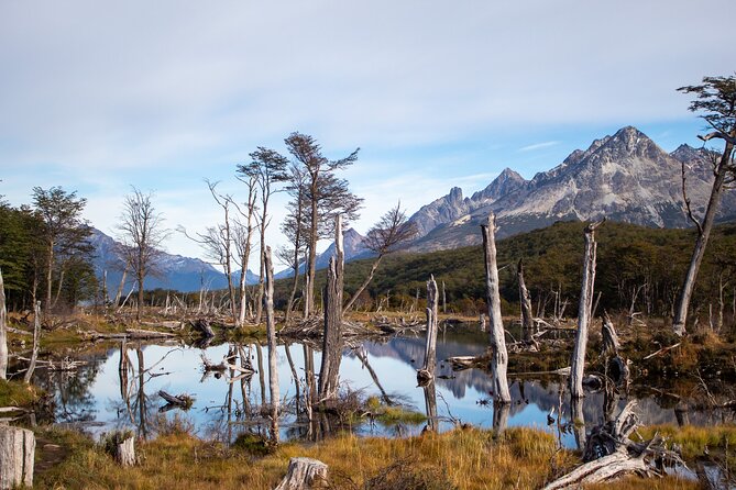 Trekking Tour Laguna Esmeralda and Fuegian Valleys - From Ushuaia to the trailhead
