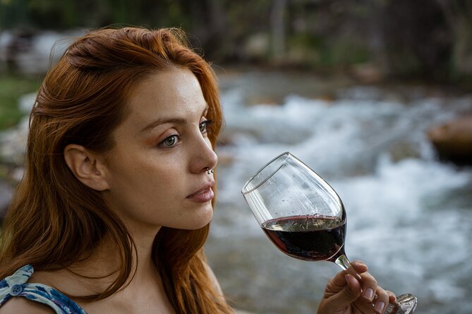 Uco Deluxe: Best wineries and real “asado argentino” - Key points to know before booking