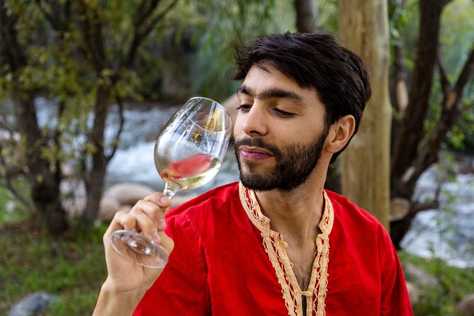 Uco Deluxe: Best wineries and real “asado argentino” - Corazón del Sol in Los Chacayes