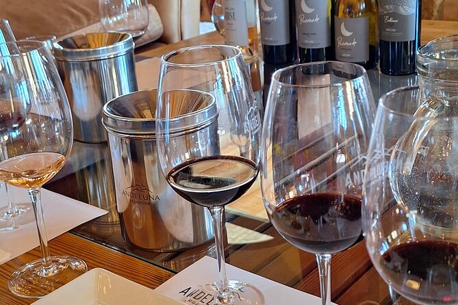 Uco Valley Wineries Day with Private Driver - Key Details Before You Go