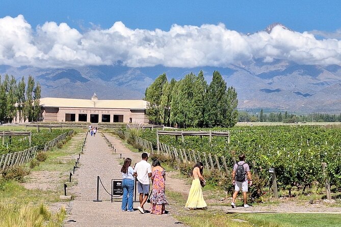 Uco Valley Wineries Day with Private Driver - Domaine Bousquet: Organic and Biodynamic Wine