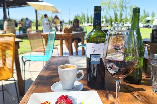 Uco Valley Wineries Day with Private Driver - What the Private Driver Adds