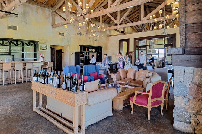 Uco Valley Wineries Day with Private Driver - Andeluna: High-Altitude Wine With Mountain Views