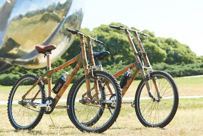 Ultimate Buenos Aires Bike Tour: All-Day All-Inclusive All-City - What seven hours feels like on a bicycle