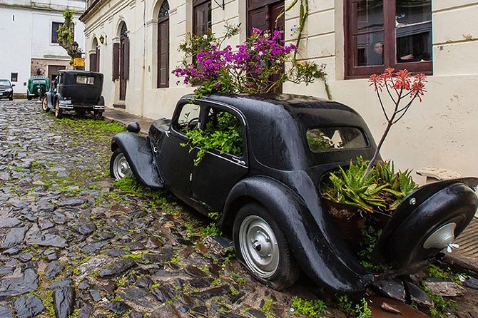 Unforgettable Day Tour in Colonia del Sacramento - Is the $81 price good value?
