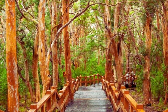 Unforgettable Patagonia Victoria Island and Arrayanes Forest - Key points to know before you book