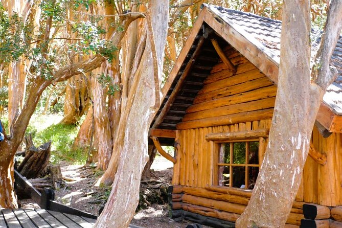 Unforgettable Patagonia Victoria Island and Arrayanes Forest - Victoria Island, with forests, beaches, and viewpoints
