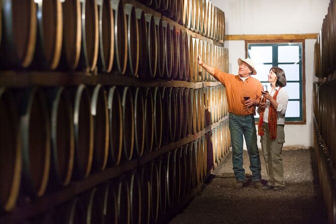 Unveiling Cafayate: Premium Wine Road Adventure - Key points at a glance