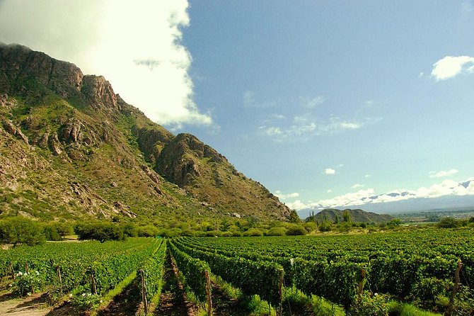 Unveiling Cafayate: Premium Wine Road Adventure - From Cafayate into the Calchaquí Valley
