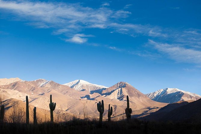 Unveiling Cafayate: Premium Wine Road Adventure - The Museum of the Vine and Wine